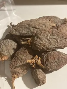 Premium Alligator Pepper – Whole Dried