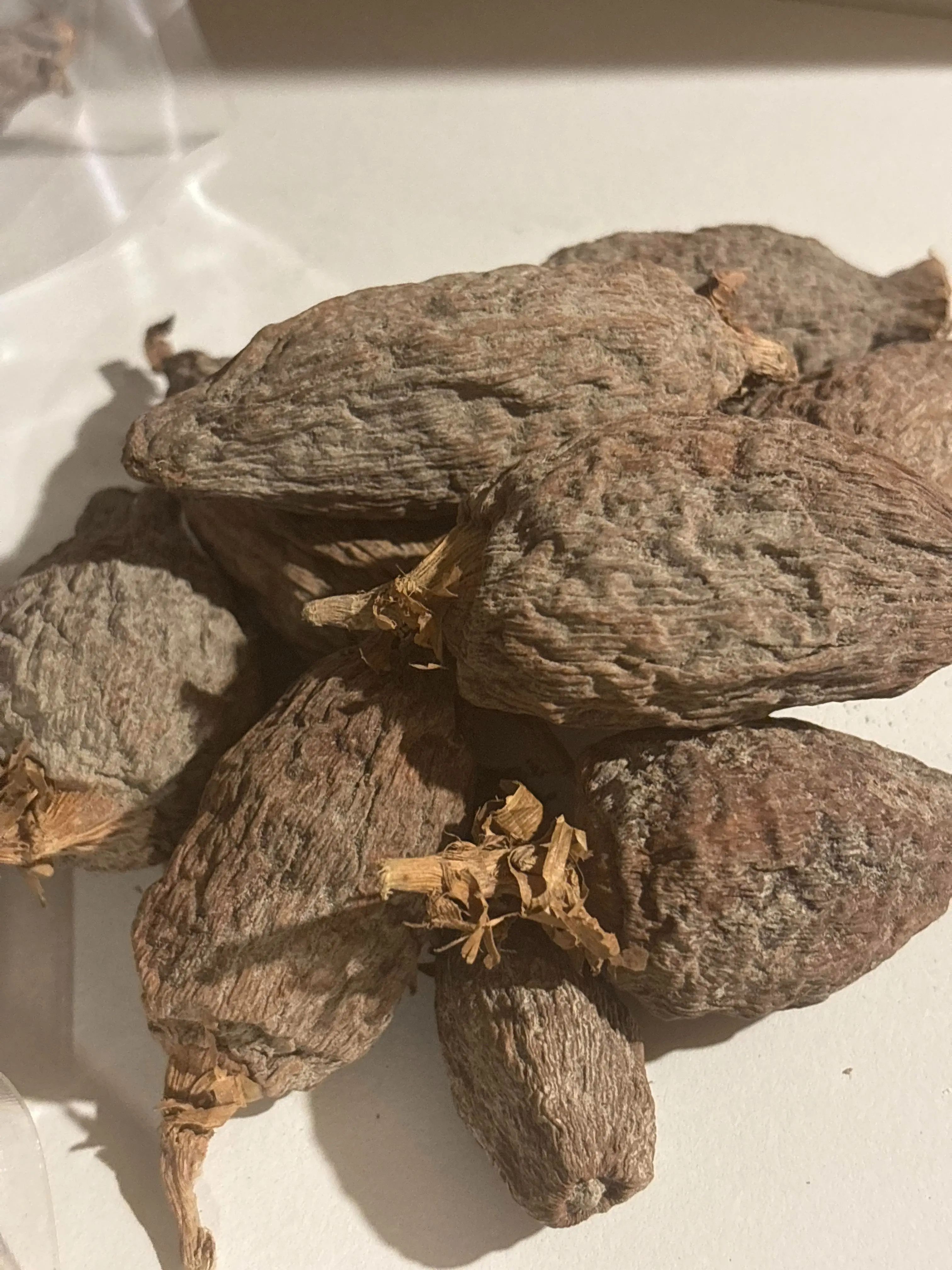 Premium Alligator Pepper – Whole Dried