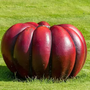 Rouge VIF D'Etampes Pumpkin Seeds for Planting (10 Seeds) - Grow Vivid Red Pumpkins