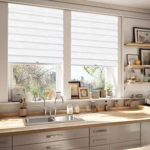 CHICOLOGY Zebra Blinds , Roller Window Shades ,37"W X 72"H , Basic Arctic