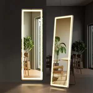 LED 3 Color Lighting Full Body Mirror 60"x 16" Rectangle Floor Mirror with Lights Wall Mounted Free Standing Leaning for Home, White