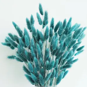 120PCS 17-inch Teal Dried Pampas Grass, Bunny Tails Dried Flowers, Pompas Floral Decor for Boho Wedding Home Party Decoration
