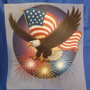 Unisex Eagle Fireworks USA Shirt