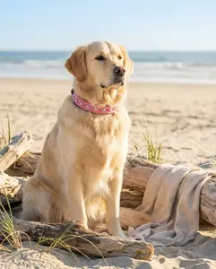 READY to SHIP!!! PREMIUM Italian 17.5"-19.5" & 1.5" Wide Ultra Luxury Italian Dog Cat Leather Pink Grey Opals Crystal CoVA Collar