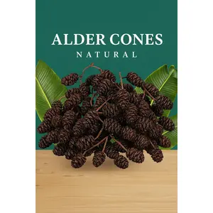 Alder Cones for Aquariums | Blackwater Botanical for Shrimp & Aquatic Tanks Calming Cleaning