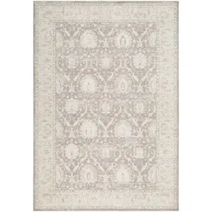 Airlia Medium Gray Area Rug