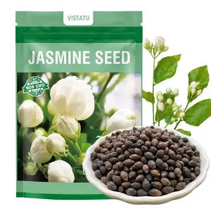 100+ Climbing Jasmine Flower Seeds Fragrant Plant for Planting Garden Home Four Seasons Evergreen Silver Jasmine Garden Balcony Climbing Flower Non-GMO