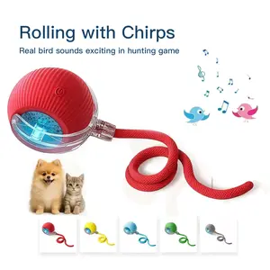 Interactive Cat & Dog Teaser Toy with Two Additional Tails, Kitten Rolling Ball Toy, Pet Supplies, Dog & Cat Accessories Cute dog toys