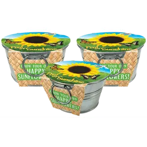 Pail of Sunshine - Grow Your Own Sunflowers Multipack of 3