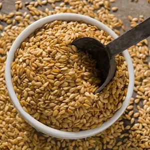 Organic Golden Flax Seeds (Linum usitatissimum) – 200+ Seeds for Cover Crops, Edible Seeds, and Fiber Production