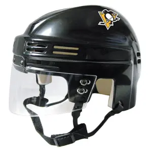 Pittsburgh Penguins - NHL Collectible Mini Helmet - Picture Inside - FANZ Collectibles