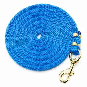 Poly Lead Rope with Bolt Snap, 10'L