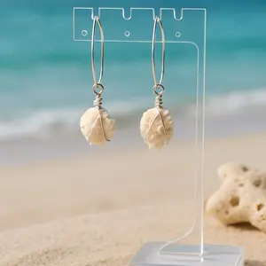 Siesta Key Jewelbox Shell Wire Loop Earrings️