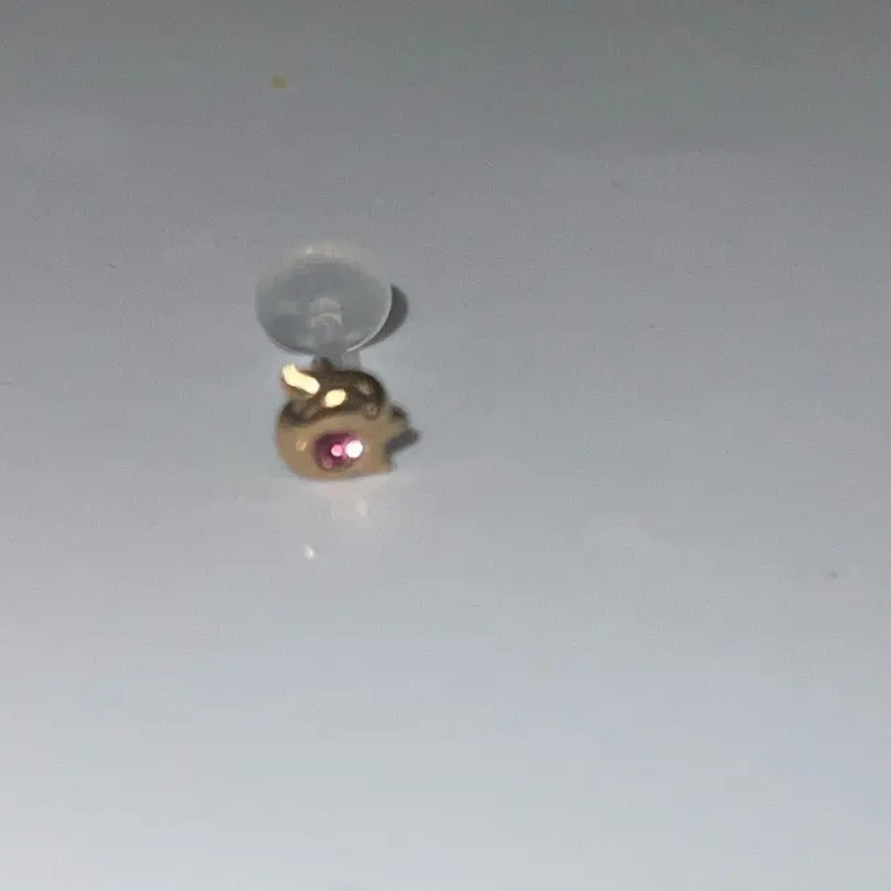14 K Bio Flex 16G Dolphin  1/4 Labret Design Pink CZ Female Female Male