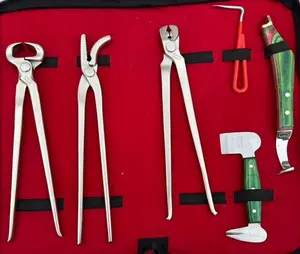 Heavy Duty Professional Horse Care Farrier Tool Kit Hoof Clincher Nipper RASP