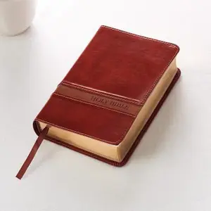 USED-KJV Compact LP LL Brown by Christian Art Publishers (Leather Bound)