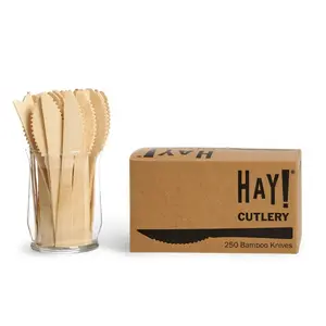 Compostable & Disposable Knives | Unwrapped Bamboo Cutlery By HAY! Straws | 250 Pack of wooden cutlery