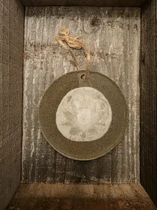 Oregon Sand Dollar Decor