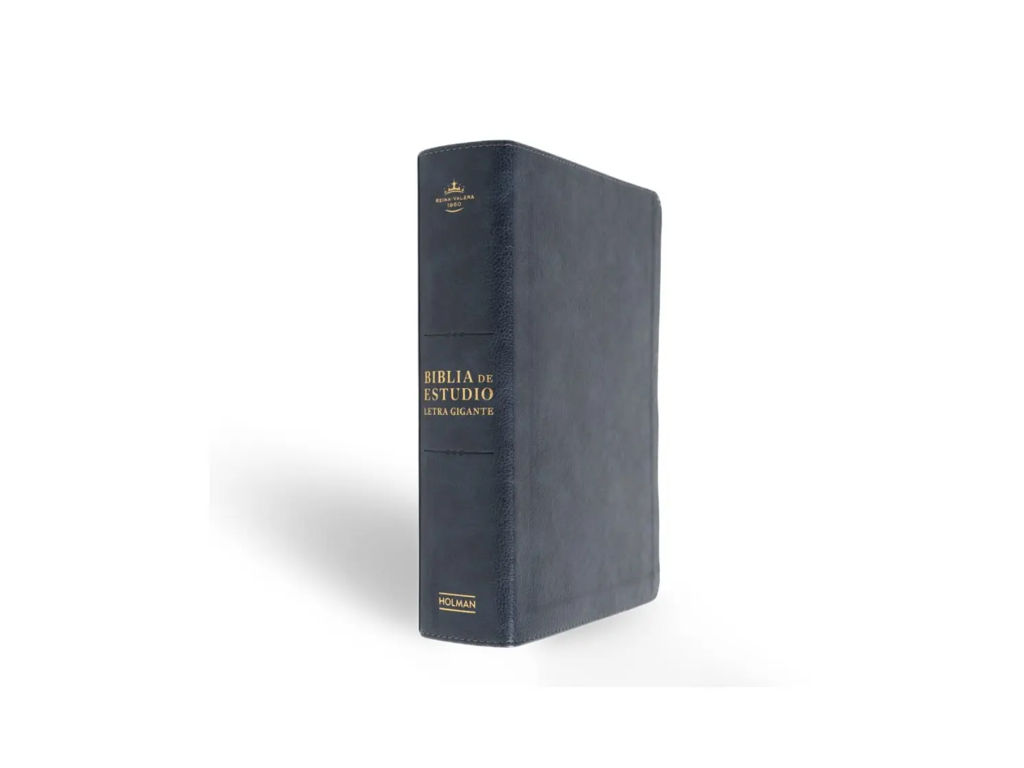RVR 1960 Biblia de Estudio Letra Gigante 13 Puntos Indexada