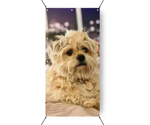 Pet Photo Vinyl Banner