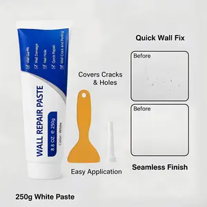 250g Quick Dry Wall Repair Compound, Drywall Patch Crack Filler, Waterproof Heavy Duty Wall Mending Paste for Home DIY White Spackle Kit