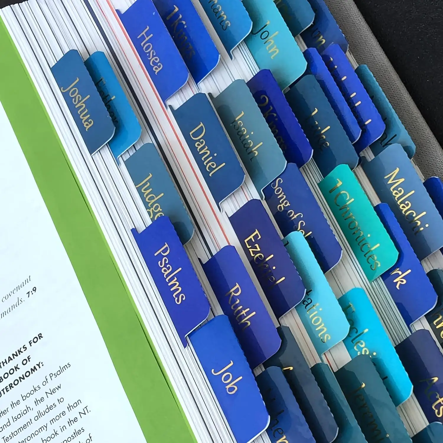 Bible Tabs, 5 Sheets Large Print Laminated Bible Tabs for Women and Men, Easy To Read Bible Book Tabs for Study Bible, Index Tabs for Old and New Test