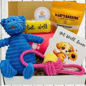 Puppy-Bear Hugs Gift Box - Dog Get Well Care Package with Blue Bear Plush Toy, Soft Chews, and Get Well Note Card for Small-Medium Dogs