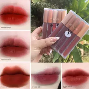 5-Piece Lip Gloss Lipstick Set, Makeup, Waterproof & Sweatproof Long-Lasting Shine, Matte Finish, Perfect for Daily Use, All Skin Types