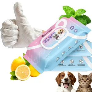 Pet Record 24 Pcs Disposable Pet Cleaning Glove Wipes Hypoallergenic Grooming Gloves for Shedding Massage Daily Cleaning No Rinse Plant Extract tiktokshopspringglowup