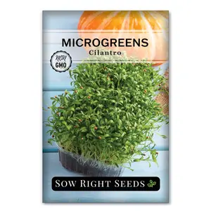 Microgreens Cilantro