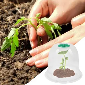 10pcs Garden Cloches for Seedlings, Clear Plant Covers, Durable Humidity Domes with Ventilation Holes, Reusable Animal Protection Device