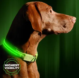 LED Pet Collar for Night Walks USB Rechargeable Highest Visibility Perfect for Dogs and Cats dog collar