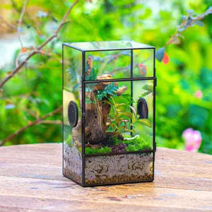 NCYP Glass Geometric Terrarium with Plastic Mesh Vent Holes for Small Insects, Snail, Jumping Spider Enclosure, Terrarium Only