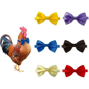 6-Piece Chicken Bow Ties & Collars - Rooster, Crow, Parrot & Multiple Bird Sizes