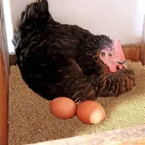 Hemp Nesting Liners - Pack of 10 - All Natural