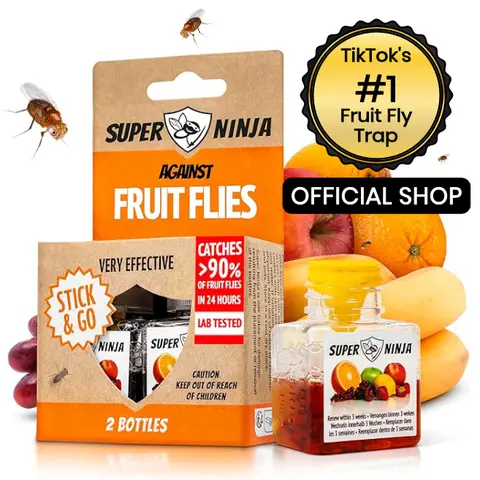 Super Ninja Eco-Friendly FRUIT Fly Trap – Highly Effective Indoor Kitchen Trap for Fruit Flies Only (Not for Houseplant Gnats or Drain Flies)