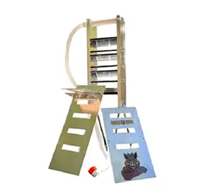 Gold Hog Boar Box Highbanker