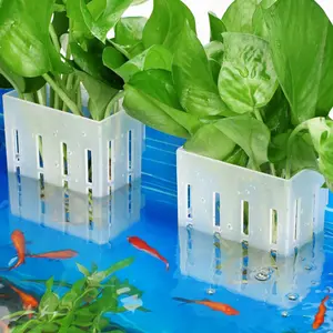 Upgraded Aquarium Plant Holder with Hooks & Suction Cups – Aquaponic & Aquascape Support