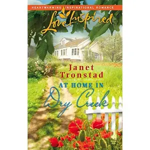 At Home in Dry Creek (Dry Creek Series #9) (Love Inspired #371)