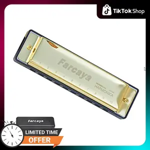 Harmonica for Beginners Adults Blues Harp Diatonic C Key 10 Holes 20 Tones Metal Mouth Organ with Hard Case and Cleaning Cloth (Gold)