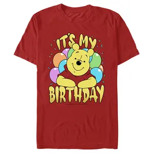 Men's Winnie the Pooh It's My Birthday T-Shirt