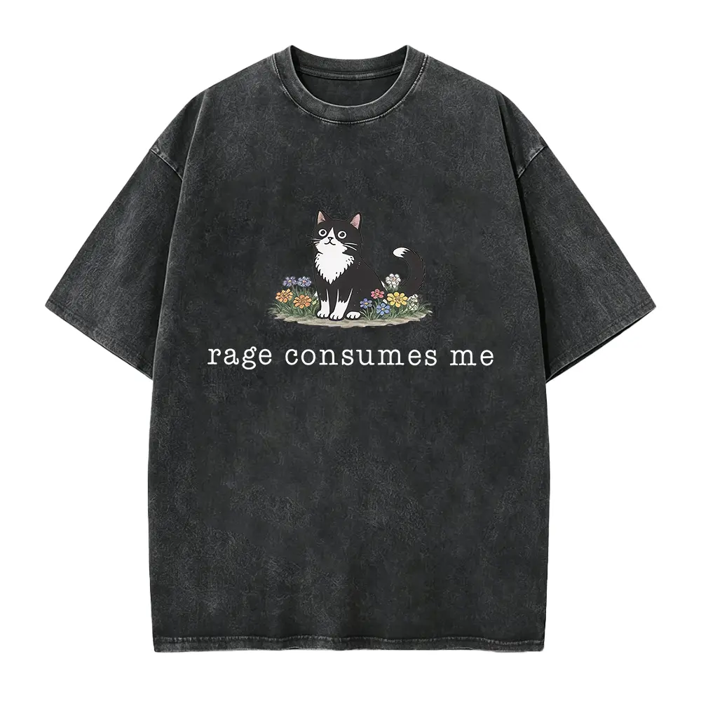 Funny Cat Meme Shirt, Rage Consumes Me, Oversize, Women, Mens, Cat T-shirt