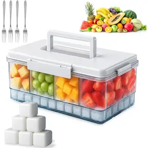 Snackle Box Container with Ice Pack,4 Compartment Chilled Serving Tray with Lid,Travel Snack Organizer,Cold Snackle Box with Ice Pack in