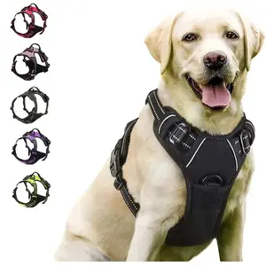 Dog Harness & Leash Set – Adjustable Pet Vest Harness with Collar for Small & Medium Dogs, Comfortable Walking Accessories (S–XL)