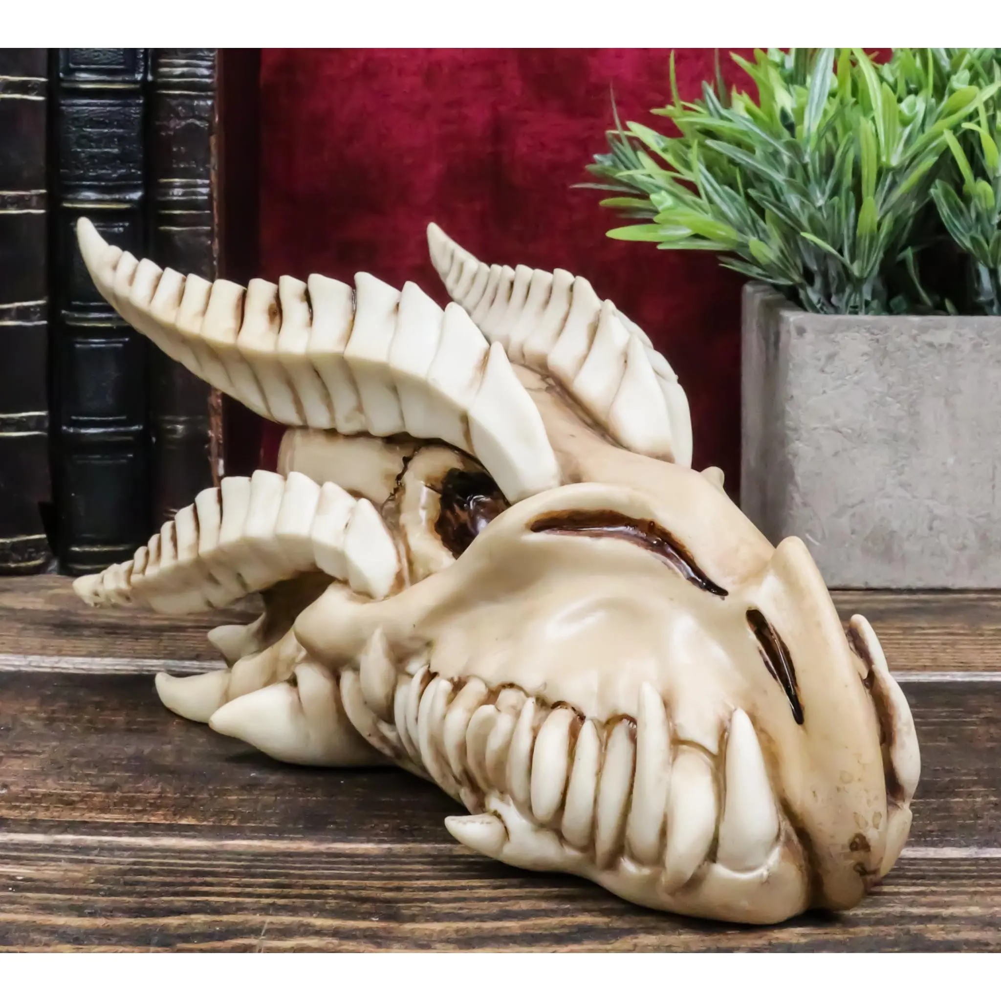 Ebros Gift Exclusive Hand Painted Resin Realistic Dragon Head Skull Decorative Statue - 8.25"L, 4.25" Tall, 4.5" Deep, 1.5 Lbs Wall-Mounted or Desktop Home Decor Piece, Home Supplies Gift