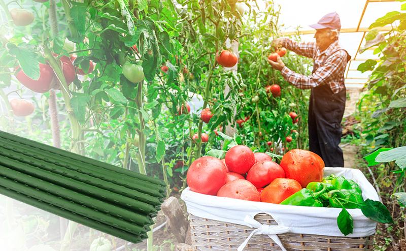 SUNNYGLADE 48" Plant Stakes Garden Tomato Sticks Durable Metal & Green Plastic Coated Supports for Potted Plants with Non-Slip Bump Design & Sharp Points for Easy Placement