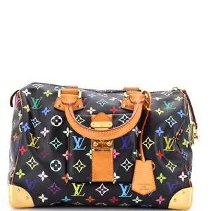 Pre-owned Louis Vuitton Canvas Coated Top Handle Bags Speedy Handbag Monogram Multicolor 30 by Rebag