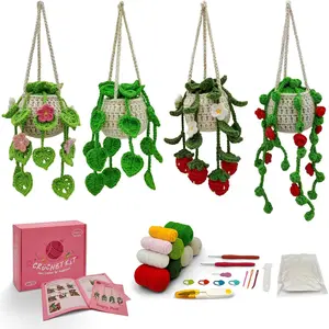 Crochet Kit for Beginners with Step-by-Step Video Tutorials,Beginners Starter Crochet Succulent  Kit for Adults ,Learn to Crochet Set (Hanging )