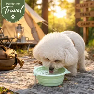 3-in-1 Collapsible Slow-Feeder Pet Bowl with Suction Cups & Hook - Portable Silicone Food Water Bowl for Dogs Cats, Fits Collar Backpack