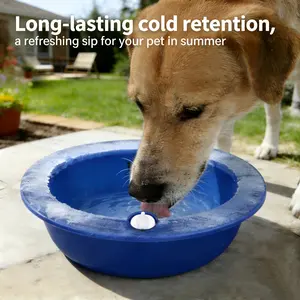 Premium 2Pcs Pet Ice Bowl Freezable Cooling Water Feeder, High-Quality Long-Lasting Cold Food Bowl for Dogs Cats, Eco-Friendly Reusable Summer Cooler for Wet Food Treats